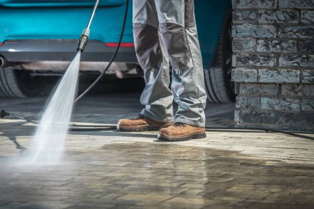 Best Pre-Holiday Cleaning  in Oli, PA